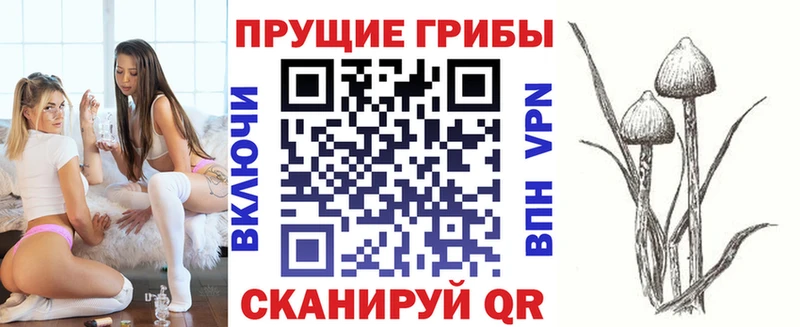 магазин    Богучар  Псилоцибиновые грибы MAGIC MUSHROOMS 